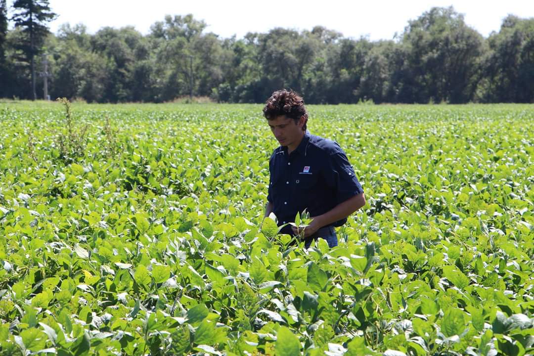 agricultura de precision