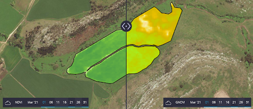 índice de vegetación GNDVI vs NDVI