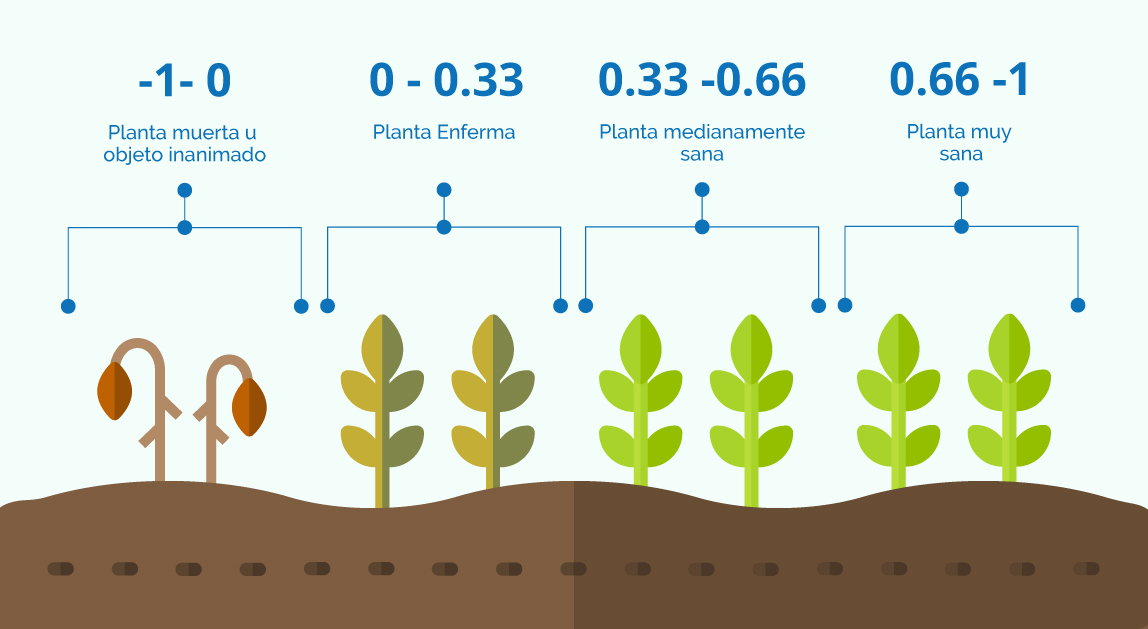 valores del NDVI según el estado del cultivo