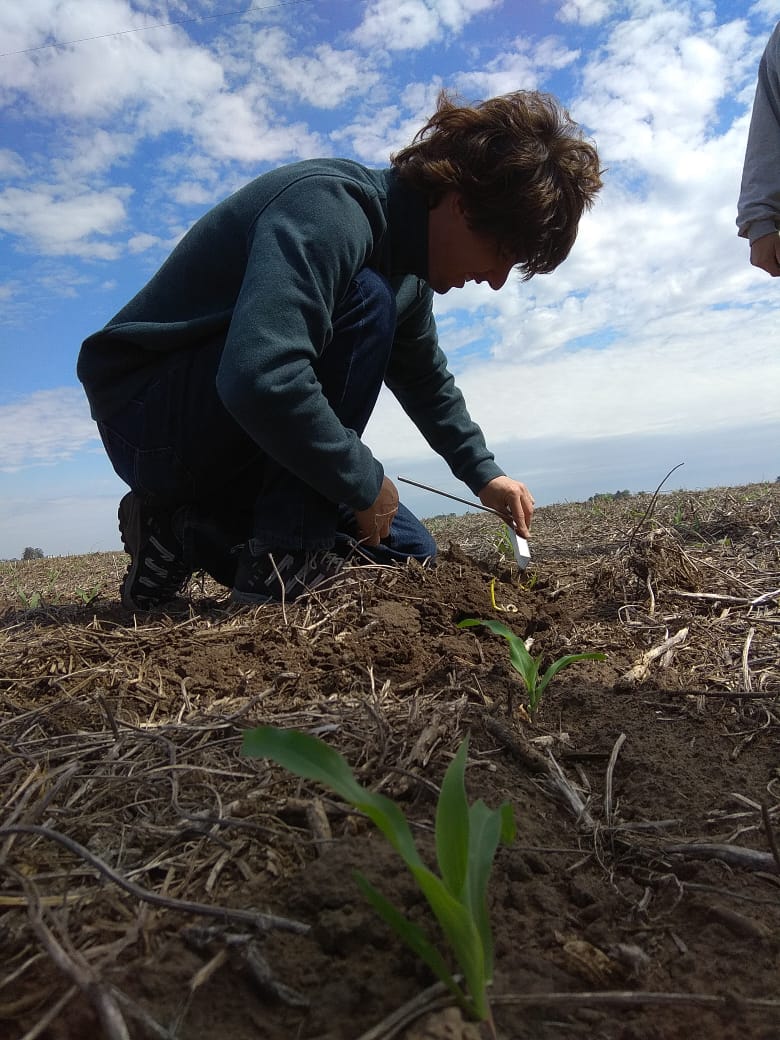 agricultura de precisión