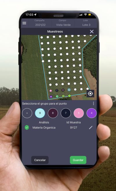 muestreos en grilla pantalla de Auravant con muestreo en grilla de campo