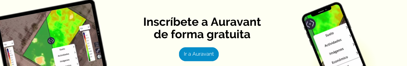 Ingresar a Auravant gratis