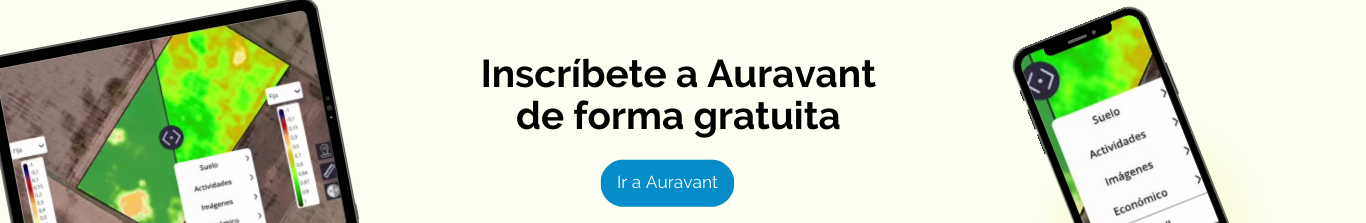 Quiero ingresar en Auravant